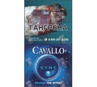 Cavallo Sync